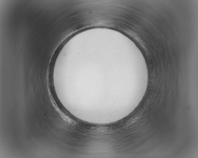 X0000075370991200610061808