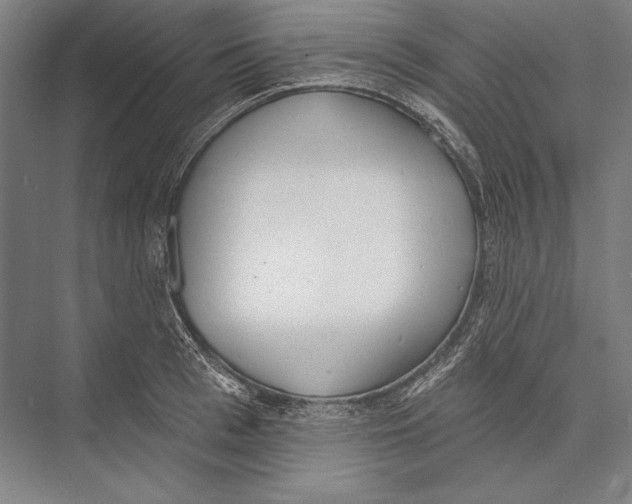 X0000075370993200610061808