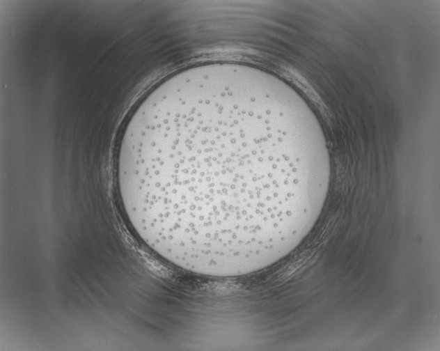 X0000075370994200610061808