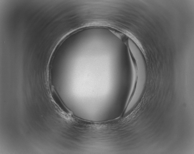 X0000075370996200610061808