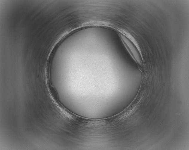 X0000075370997200610061808