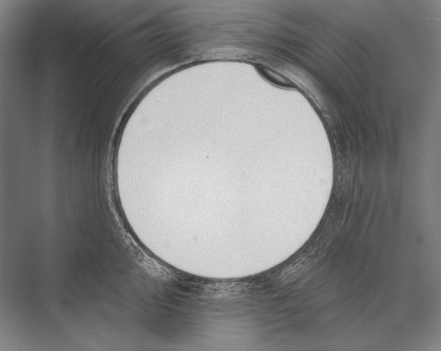 X0000075371000200610061808