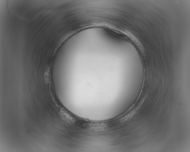 X0000075371001200610061808
