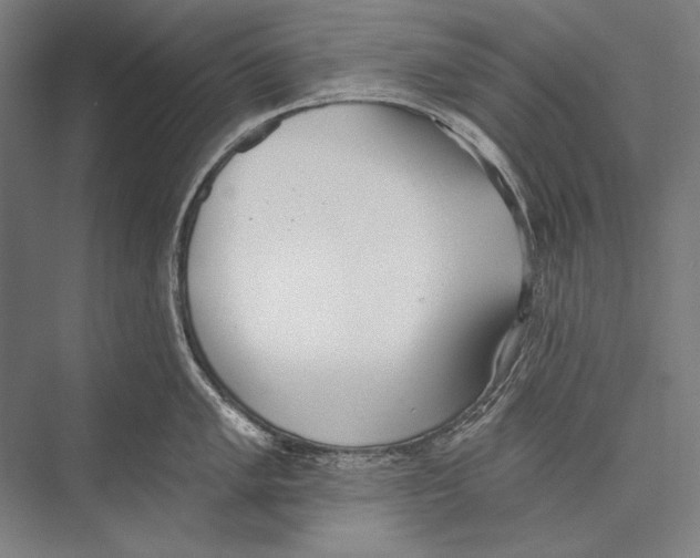 X0000075371005200610061808