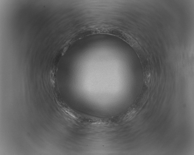 X0000075371010200610061807