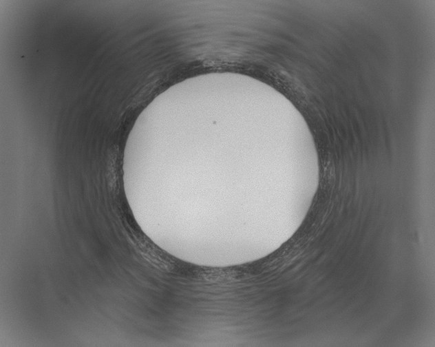 X0000075371012200610061807