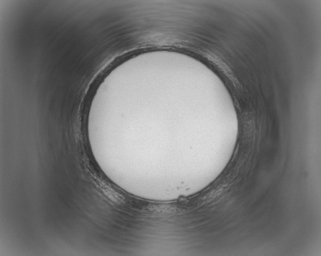 X0000075371023200610061807
