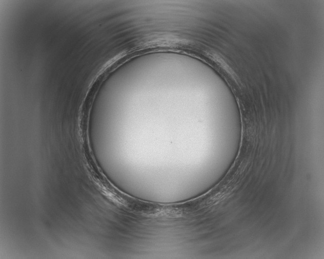 X0000075371026200610061807