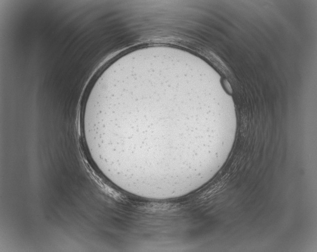 X0000075371036200610061807