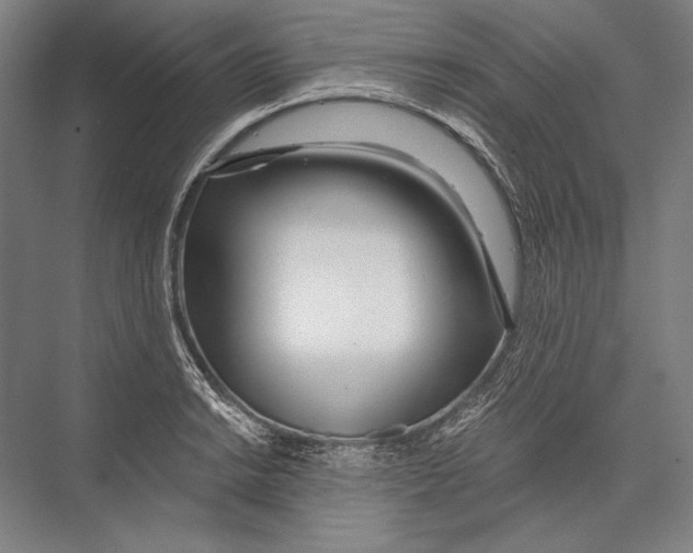 X0000075371038200610061807