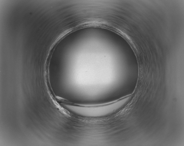 X0000075371042200610061807