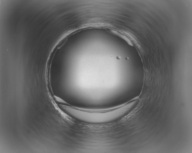 X0000075371046200610061807