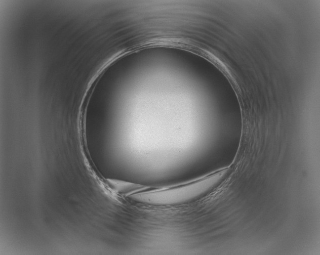 X0000075371050200610061808