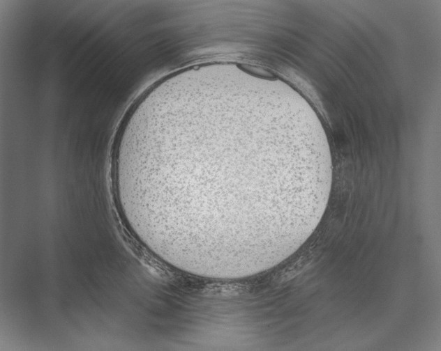 X0000075371051200610061808