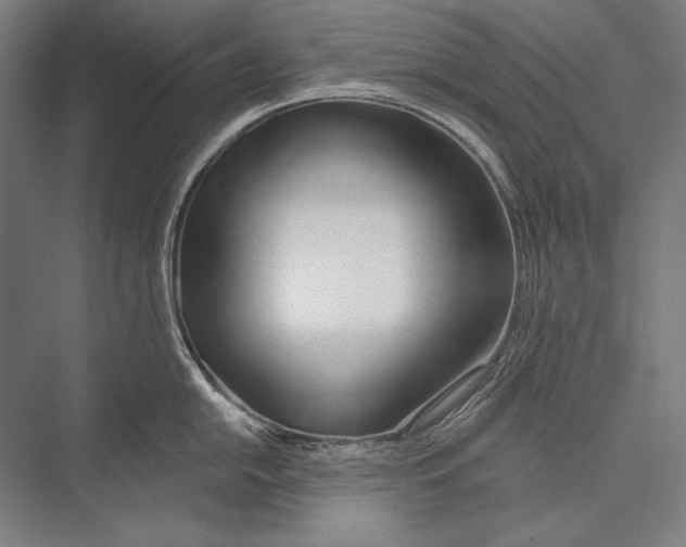 X0000075371054200610061808