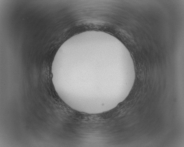X0000075371061200610061807