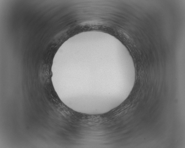 X0000075371062200610061807