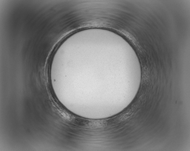 X0000075371078200610061806