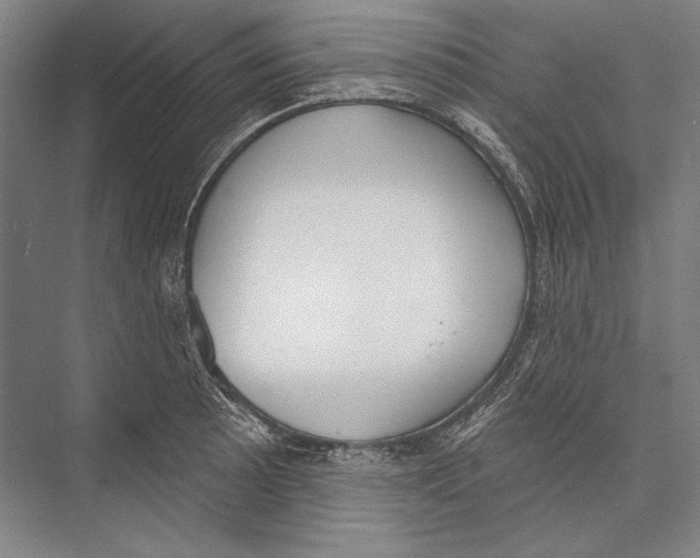 X0000075371089200610061806