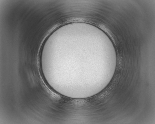 X0000075371090200610061806