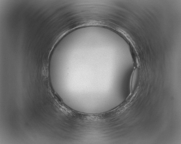 X0000075371097200610061806