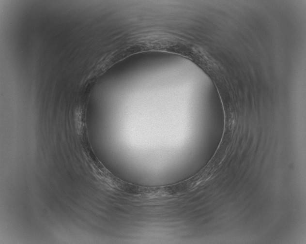 X0000075371108200610061805