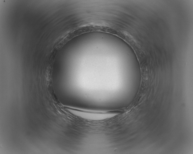 X0000075371110200610061805