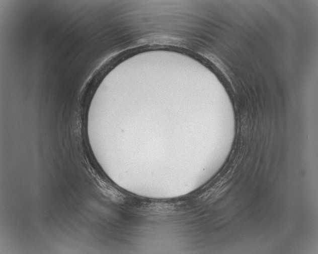 X0000075371115200610061805