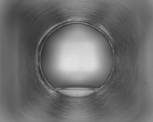 X0000075371124200610061806
