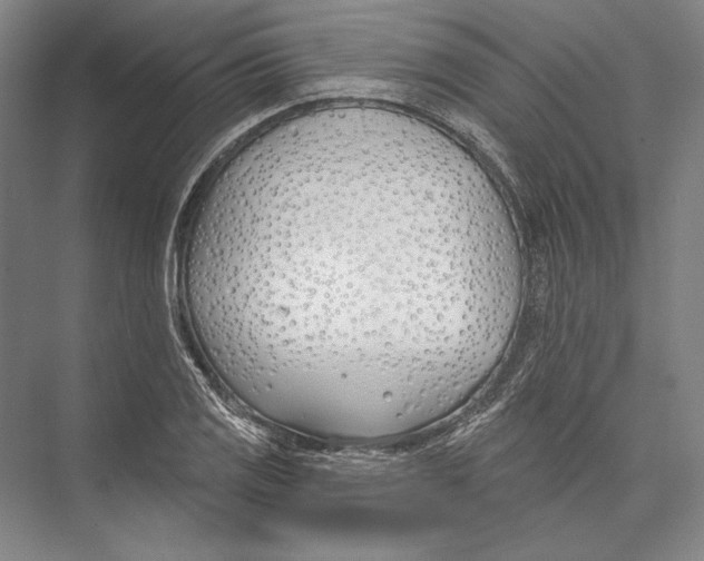 X0000075371125200610061806