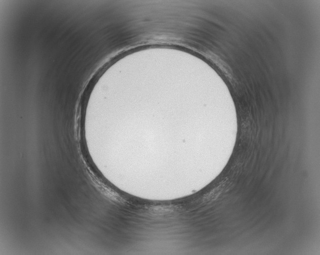 X0000075371126200610061806