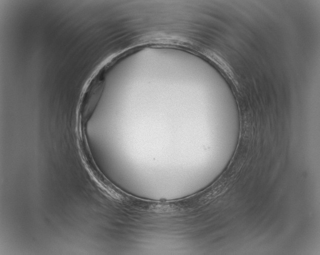 X0000075371128200610061806