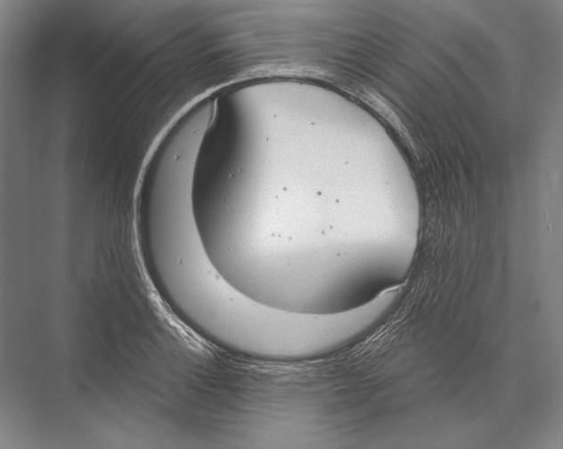 X0000075371132200610061806