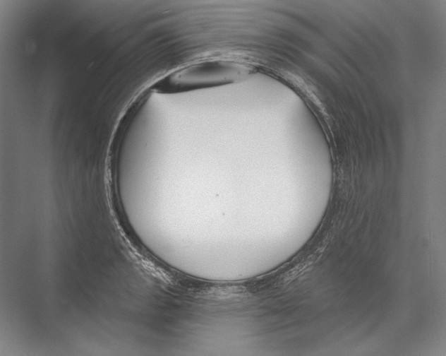 X0000075371133200610061806