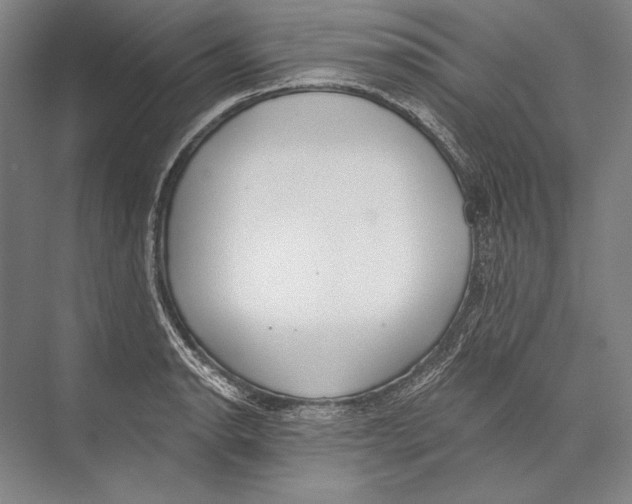 X0000075371134200610061806