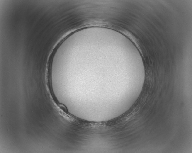 X0000075371147200610061806