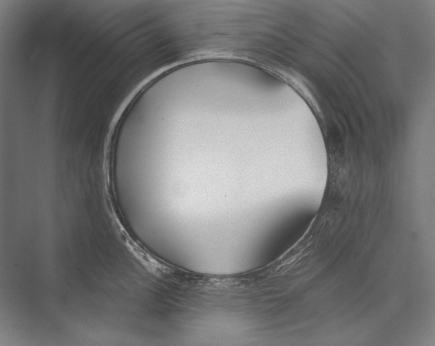 X0000075371148200610061806
