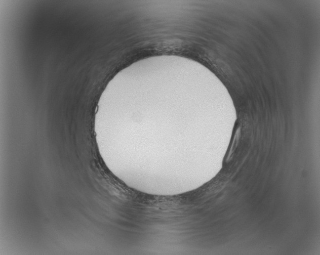 X0000075371153200610061805