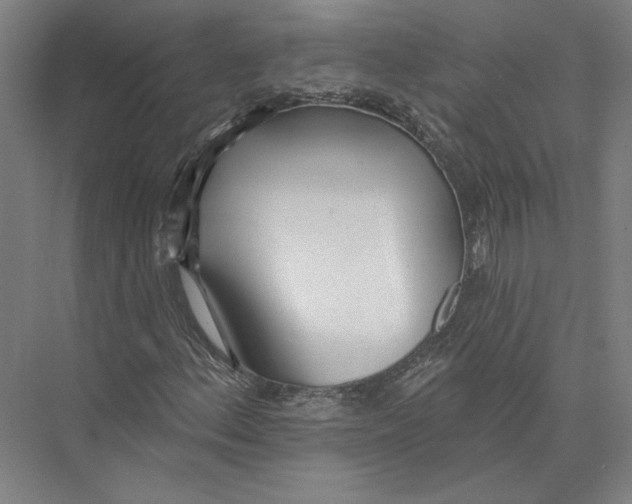 X0000075371156200610061805