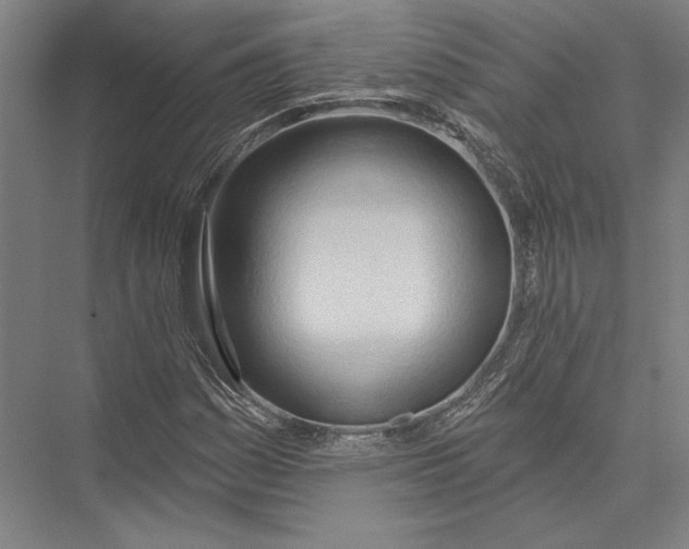 X0000075371161200610061805