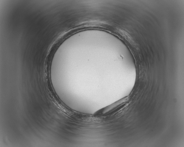 X0000075371164200610061805