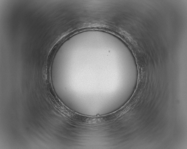X0000075371165200610061805