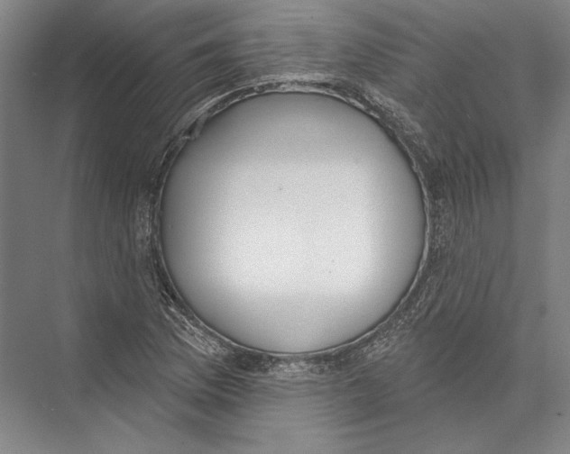 X0000075371169200610061805