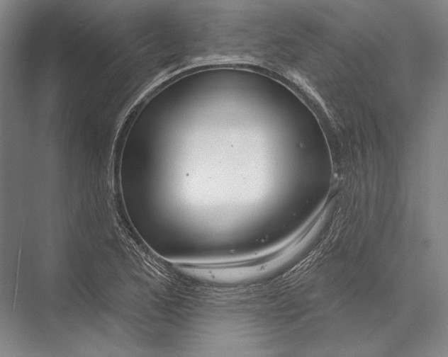 X0000075371173200610061805