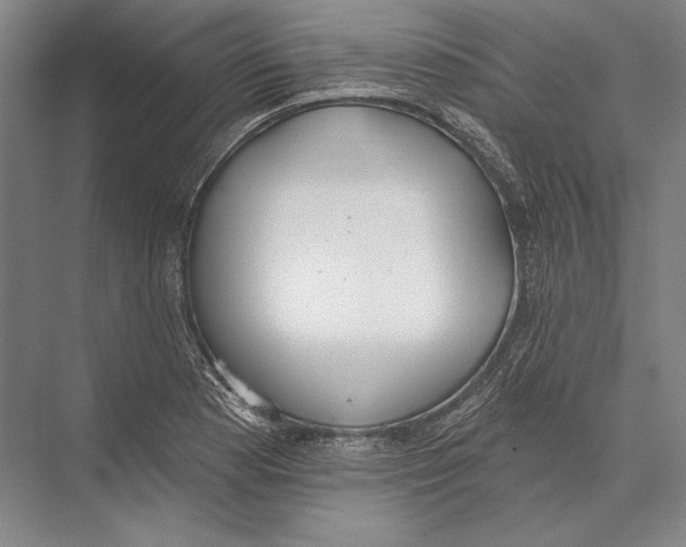 X0000075371177200610061805