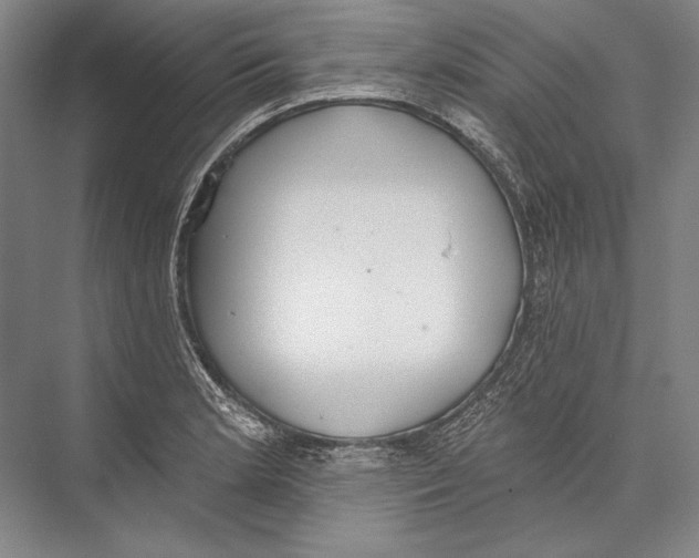 X0000075371181200610061805