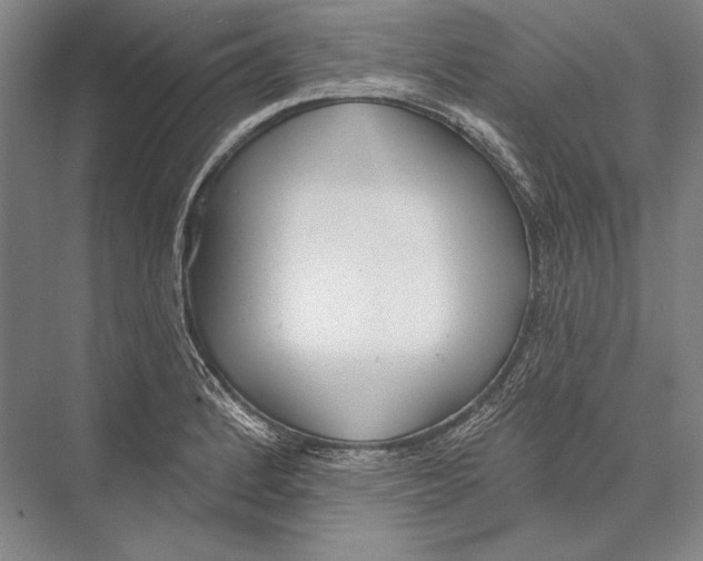 X0000075371184200610061805