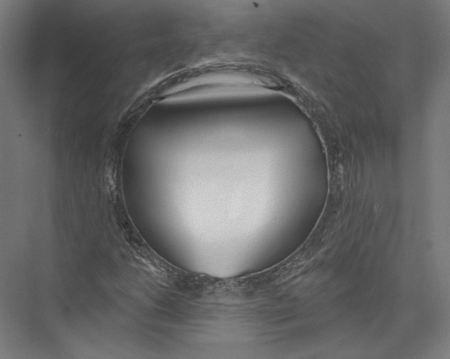 X0000075371206200610061804