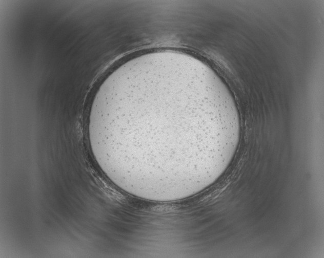 X0000075371212200610061804