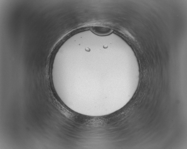 X0000075371216200610061804